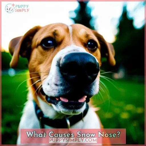 What Causes Snow Nose?