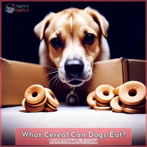 What Cereal Can Dogs Eat?