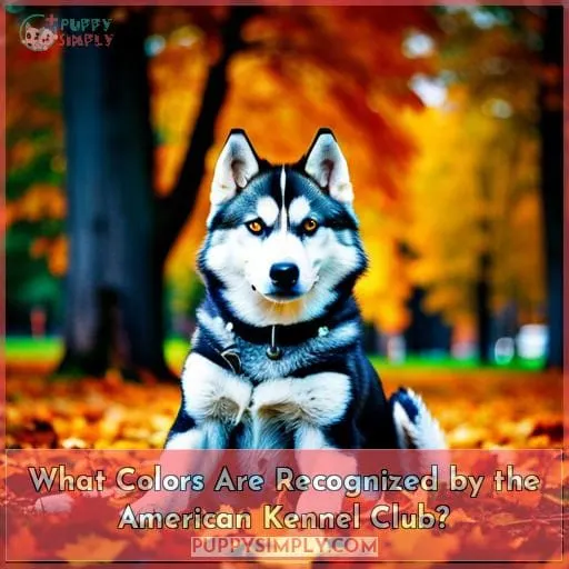 What Colors Are Recognized by the American Kennel Club?