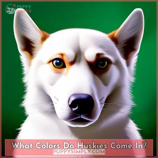 What Colors Do Huskies Come In?