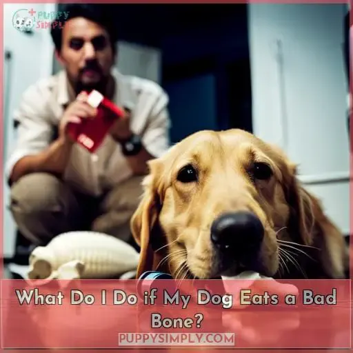 What Do I Do if My Dog Eats a Bad Bone