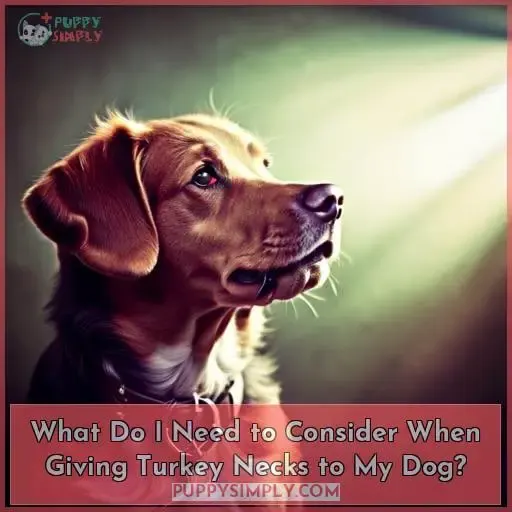 What Do I Need to Consider When Giving Turkey Necks to My Dog?