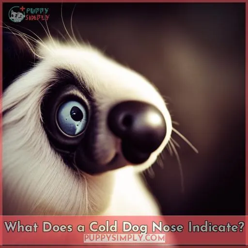 What Does a Cold Dog Nose Indicate?