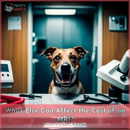 What Else Can Affect the Cost of an MRI?