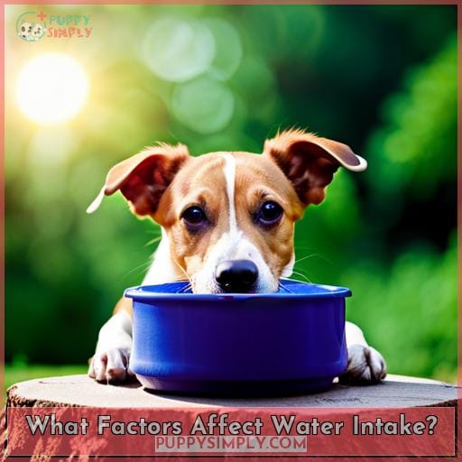 What Factors Affect Water Intake?