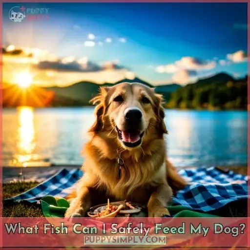 What Fish Can I Safely Feed My Dog?