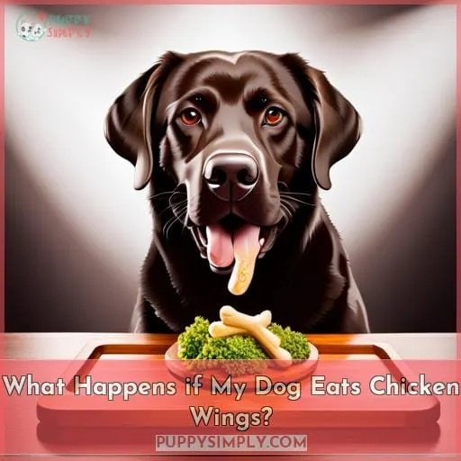What Happens if My Dog Eats Chicken Wings?
