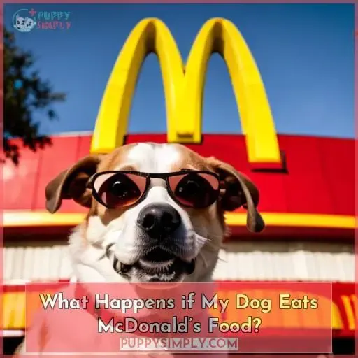 What Happens if My Dog Eats McDonald’s Food?
