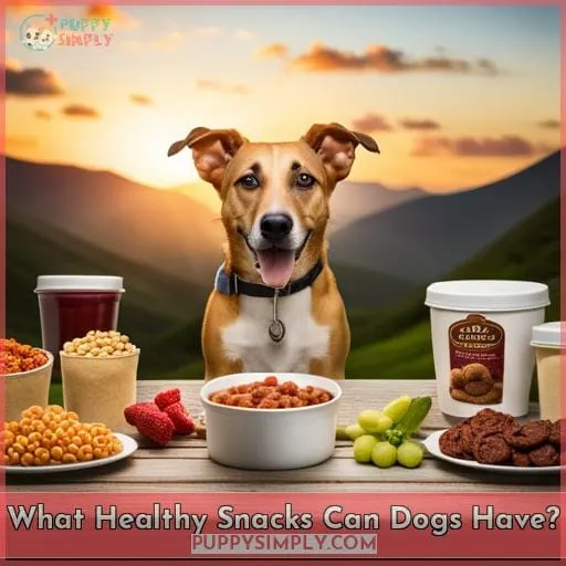 What Healthy Snacks Can Dogs Have?