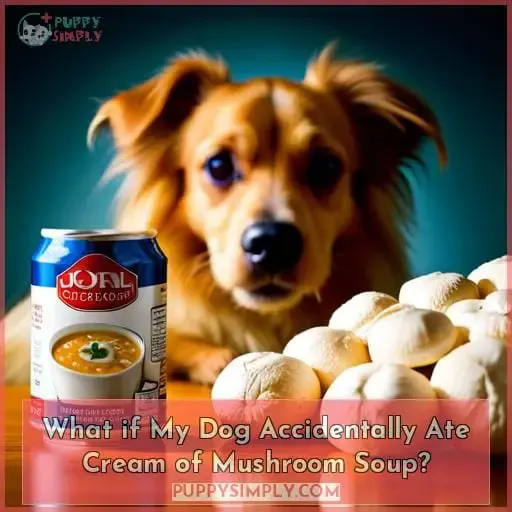 What if My Dog Accidentally Ate Cream of Mushroom Soup?