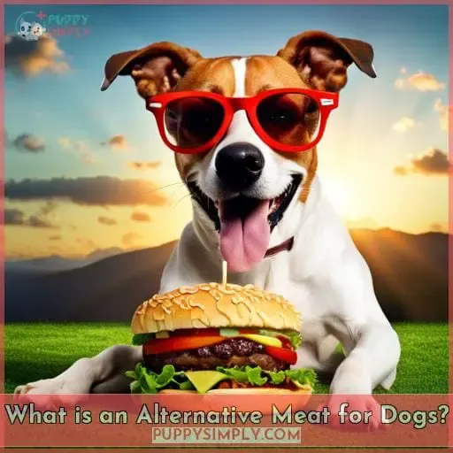 What is an Alternative Meat for Dogs?