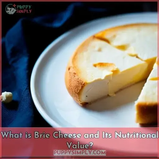 What is Brie Cheese and Its Nutritional Value?