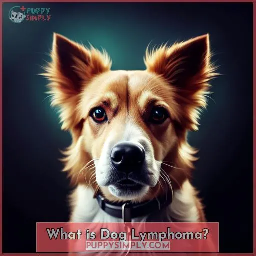 What is Dog Lymphoma?