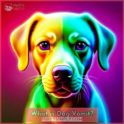 What is Dog Vomit?