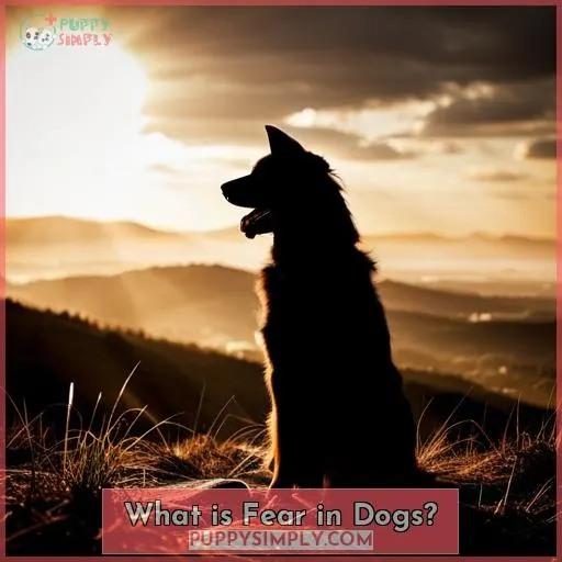 What is Fear in Dogs?