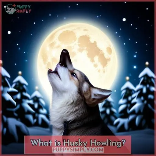 What is Husky Howling?