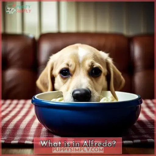 What is in Alfredo?