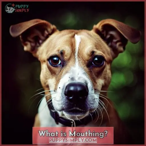 What is Mouthing?