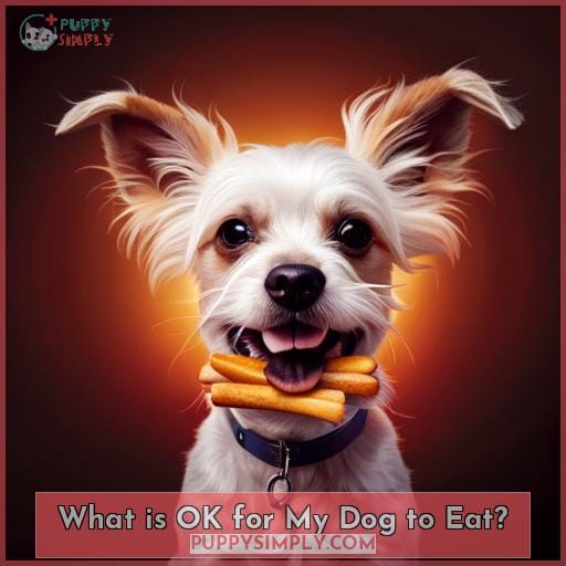 What is OK for My Dog to Eat?