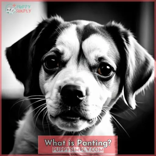 What is Panting?