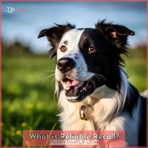 What is Reliable Recall