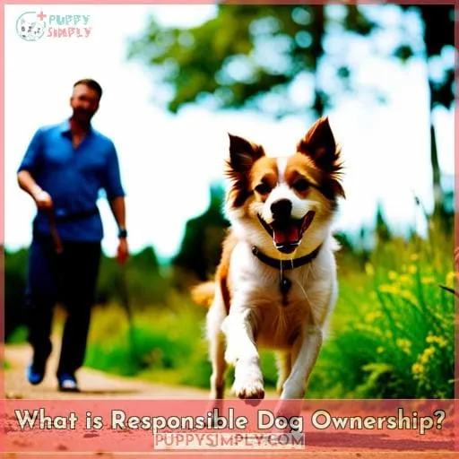 What is Responsible Dog Ownership?