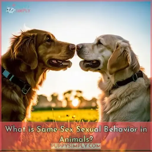 What is Same-Sex Sexual Behavior in Animals