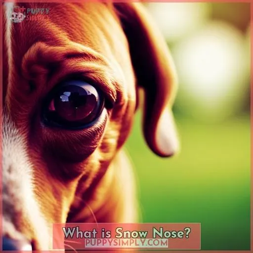 What is Snow Nose?