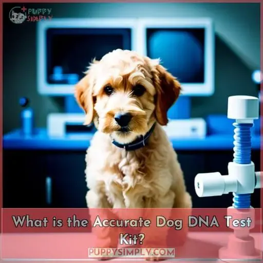 What is the Accurate Dog DNA Test Kit?