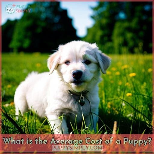 What is the Average Cost of a Puppy?