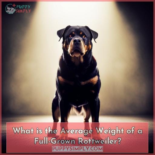 What is the Average Weight of a Full-Grown Rottweiler?