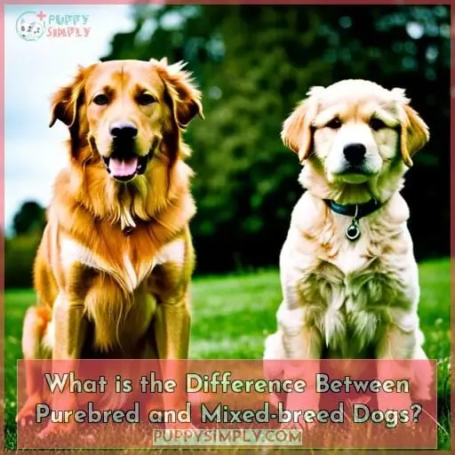 What is the Difference Between Purebred and Mixed-breed Dogs