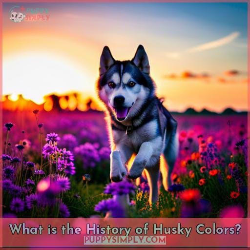 What is the History of Husky Colors?