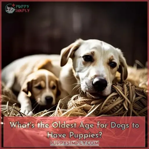 what is the oldest age a dog can have puppies