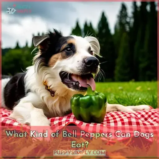 What Kind of Bell Peppers Can Dogs Eat?