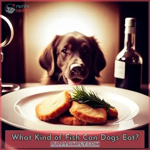 What Kind of Fish Can Dogs Eat?