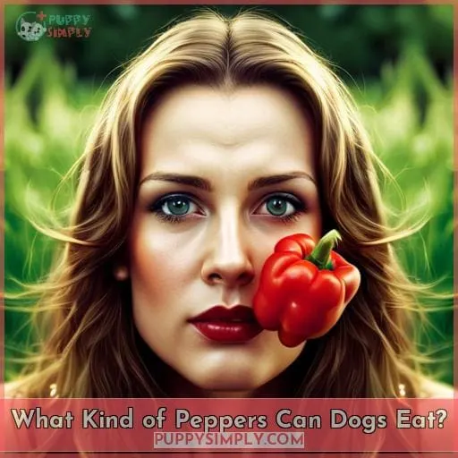 What Kind of Peppers Can Dogs Eat?