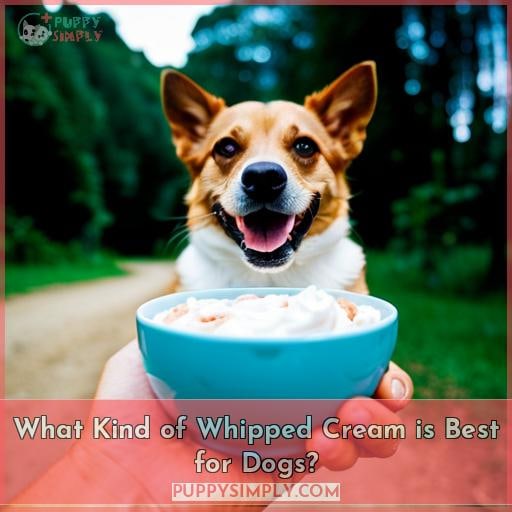 What Kind of Whipped Cream is Best for Dogs? What Kind of Whipped Cream is Best for Dogs?