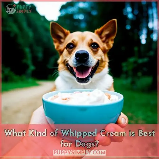 What Kind of Whipped Cream is Best for Dogs?