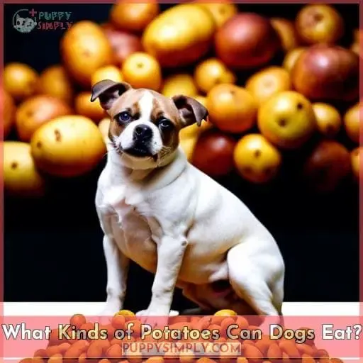 What Kinds of Potatoes Can Dogs Eat?