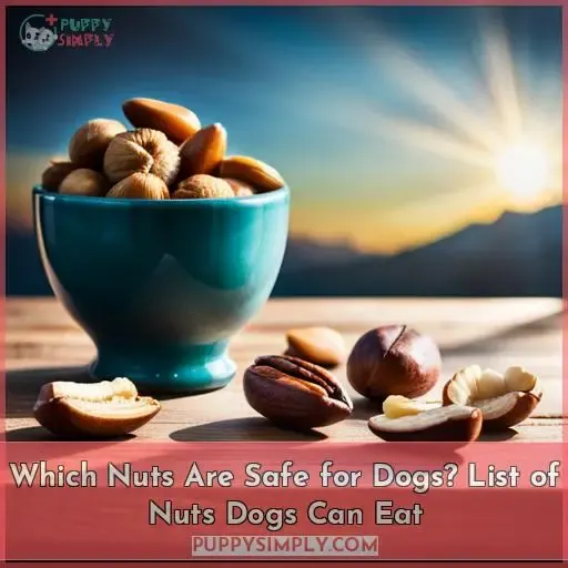 what nuts can dogs eat