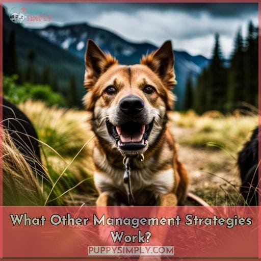 What Other Management Strategies Work?