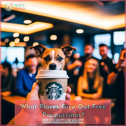 What Places Give Out Free Puppuccinos? What Places Give Out Free Puppuccinos?