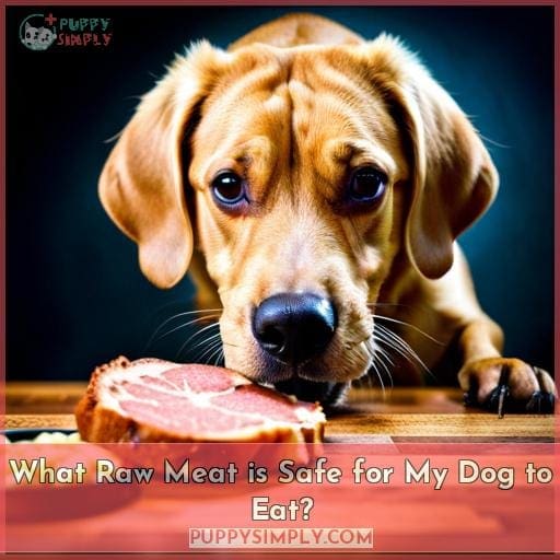 What Raw Meat is Safe for My Dog to Eat?