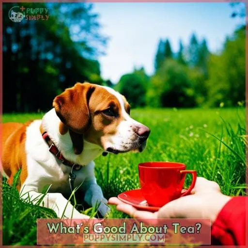 What’s Good About Tea?