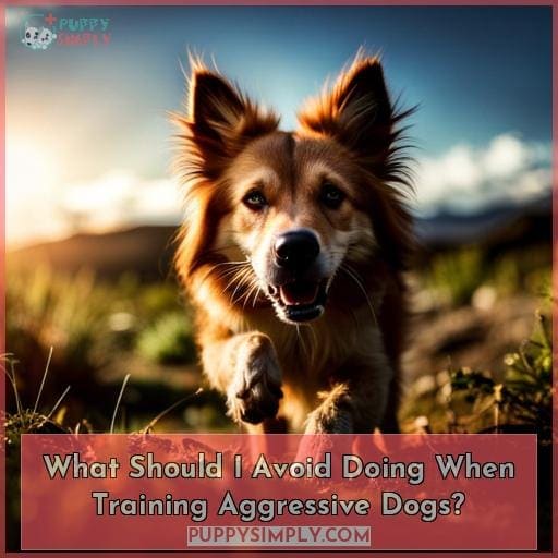 What Should I Avoid Doing When Training Aggressive Dogs?