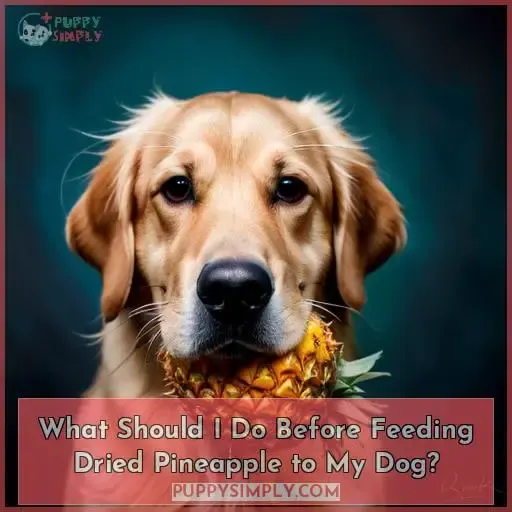 What Should I Do Before Feeding Dried Pineapple to My Dog?