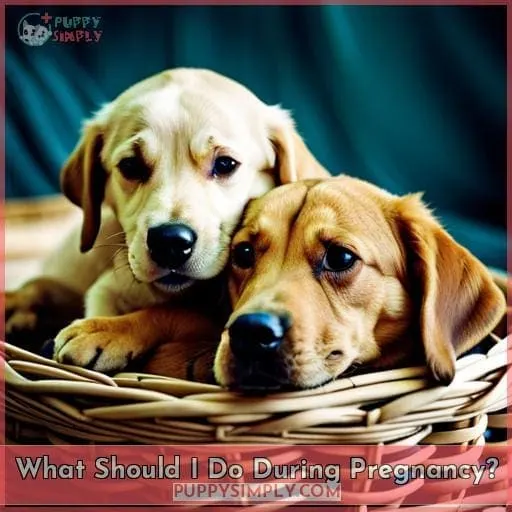 What Should I Do During Pregnancy?