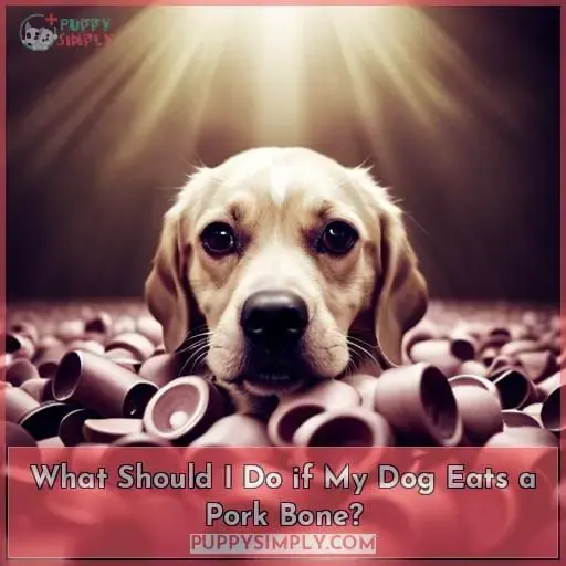 What Should I Do if My Dog Eats a Pork Bone?