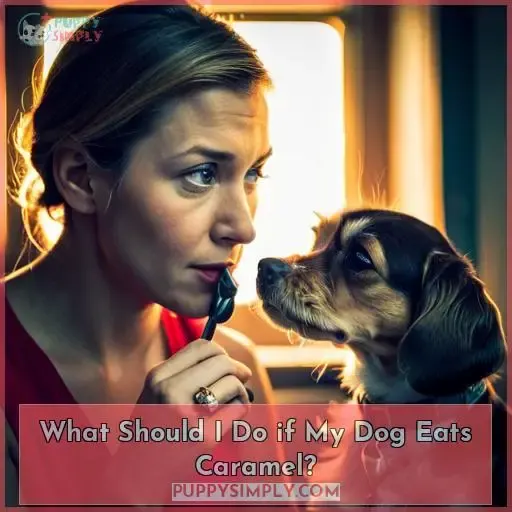 What Should I Do if My Dog Eats Caramel